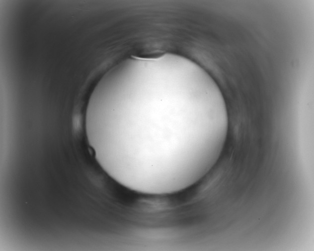 X0000088050067200706011350