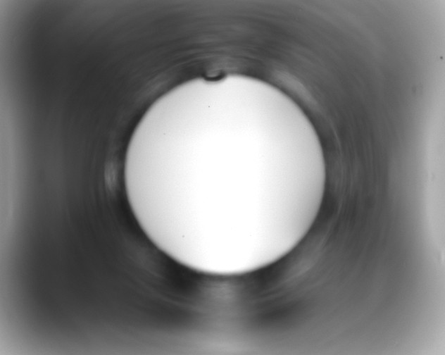 X0000088050071200706011350