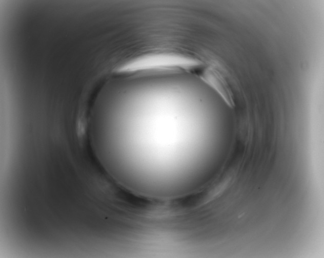 X0000088050072200706011350