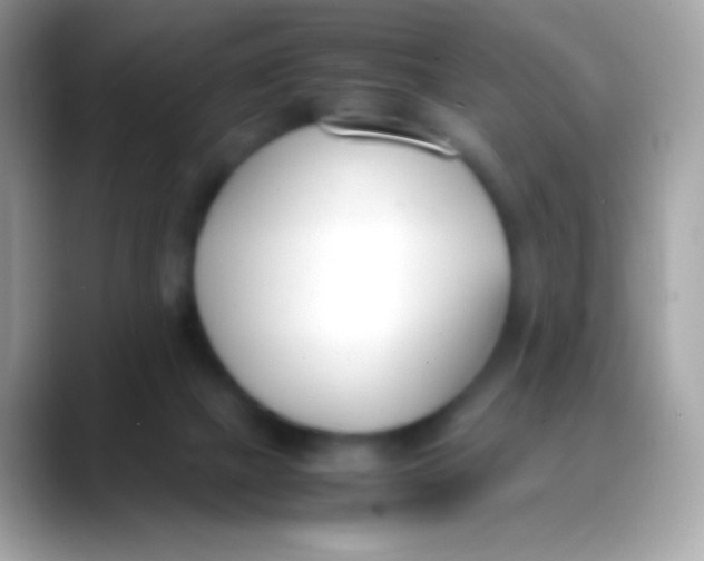X0000088050073200706011350