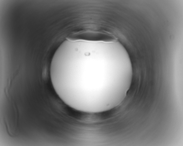 X0000088050074200706011350