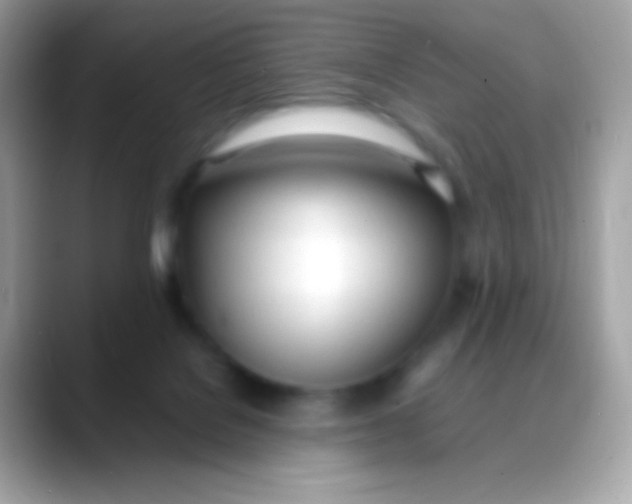 X0000088050076200706011350