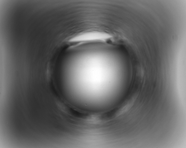 X0000088050080200706011350