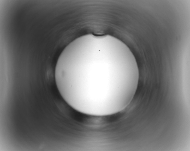 X0000088050086200706011350