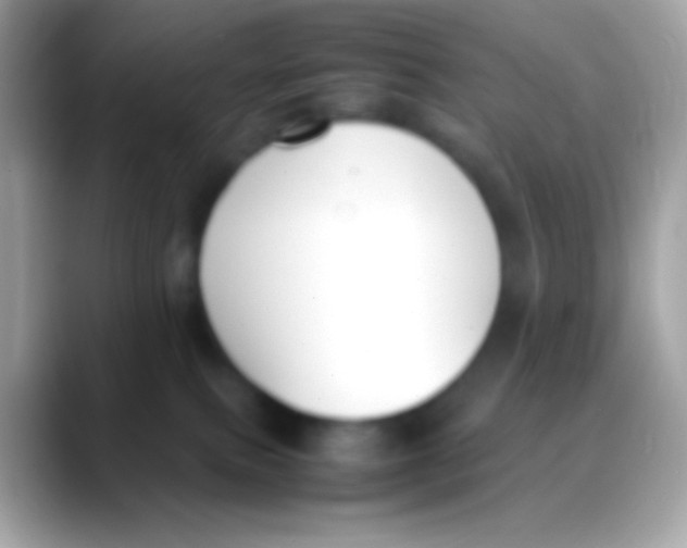 X0000088050087200706011350