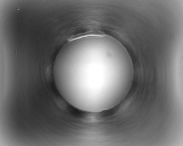 X0000088050088200706011350