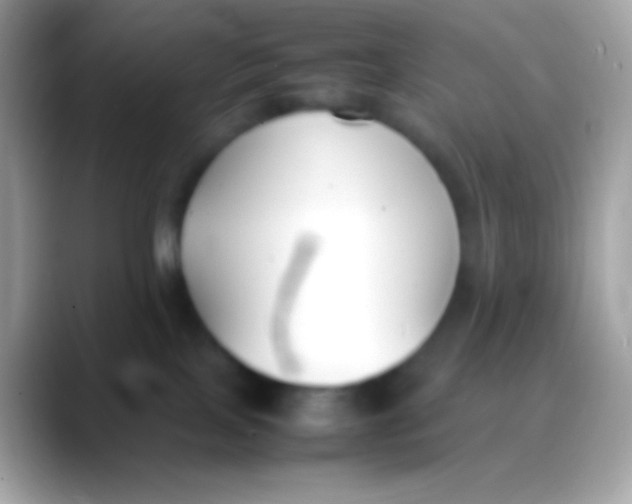 X0000088050089200706011350
