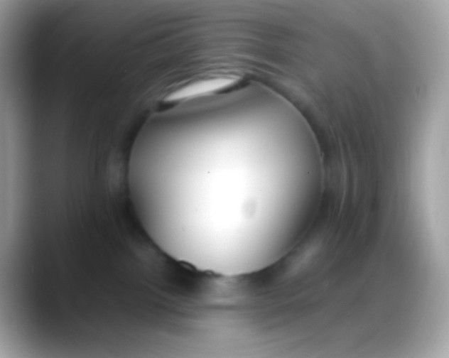 X0000088050092200706011350