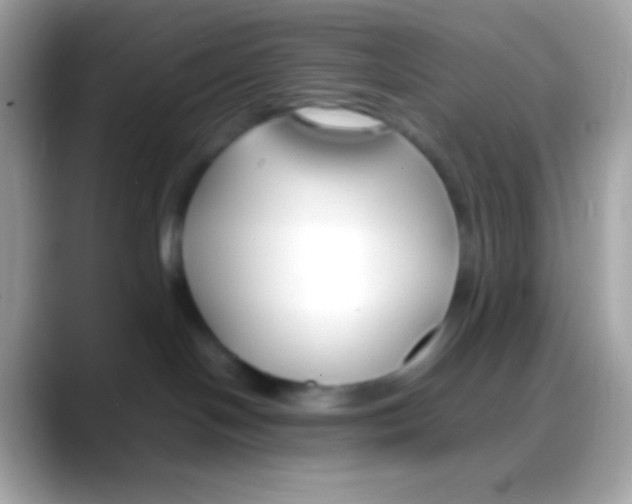 X0000088050094200706011350