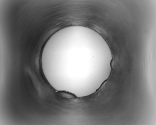 X0000088050098200706011349