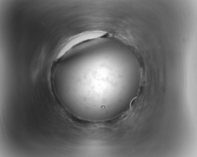 X0000088050099200706011349