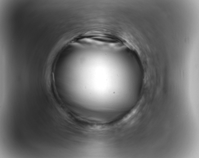 X0000088050101200706011349
