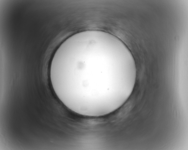 X0000088050103200706011349