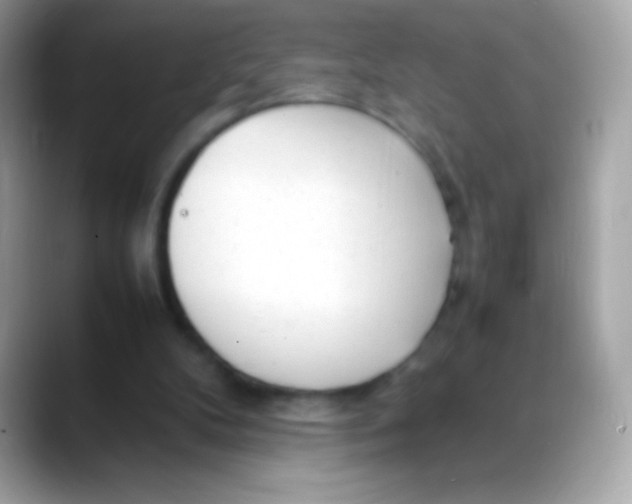 X0000088050104200706011349