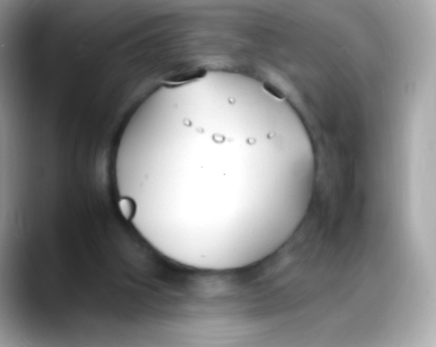 X0000088050106200706011349