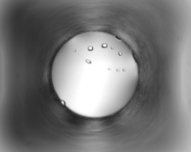 X0000088050107200706011349