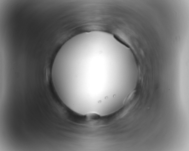 X0000088050109200706011349