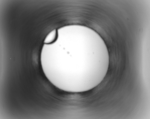 X0000088050112200706011349