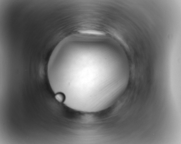 X0000088050114200706011349