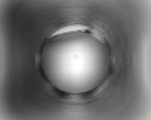 X0000088050117200706011349