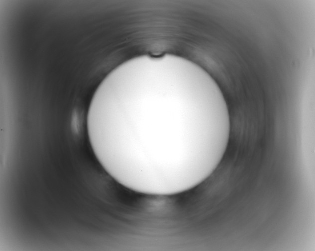 X0000088050118200706011349