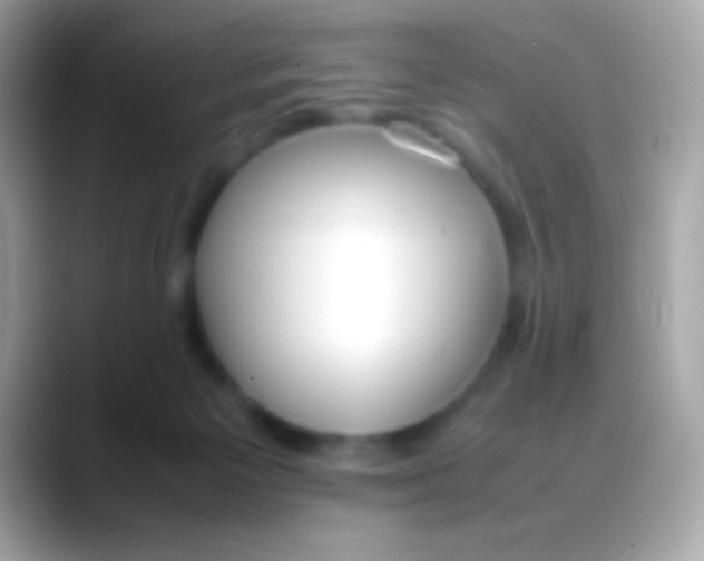X0000088050125200706011349