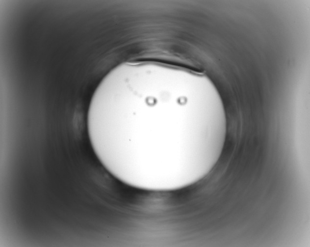 X0000088050128200706011349