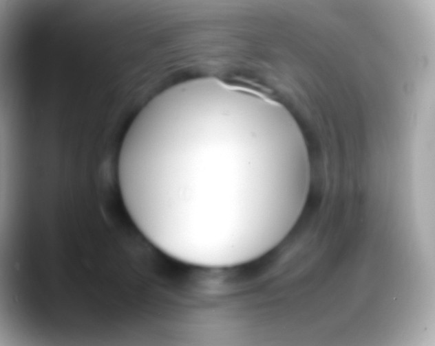 X0000088050131200706011349