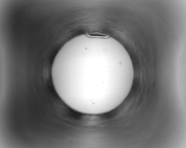 X0000088050133200706011349