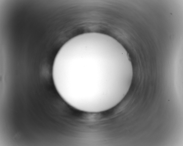 X0000088050135200706011349