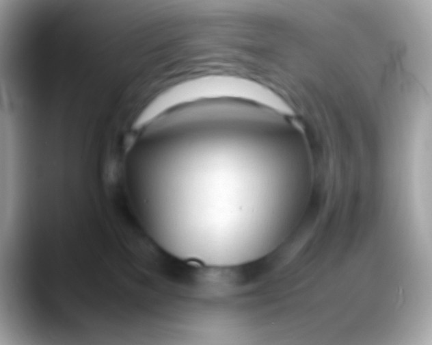 X0000088050137200706011349