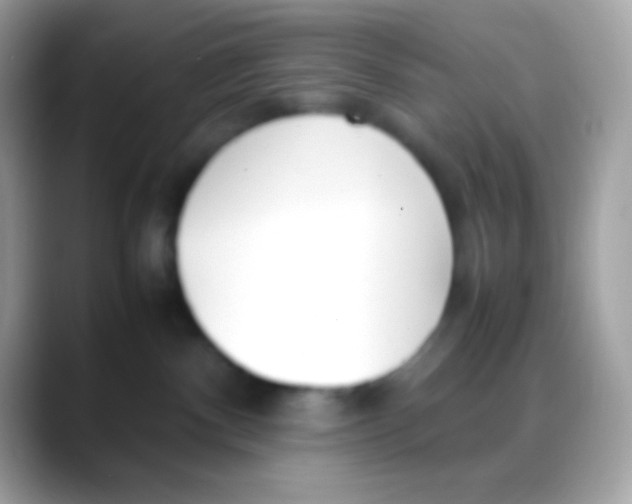 X0000088050140200706011349