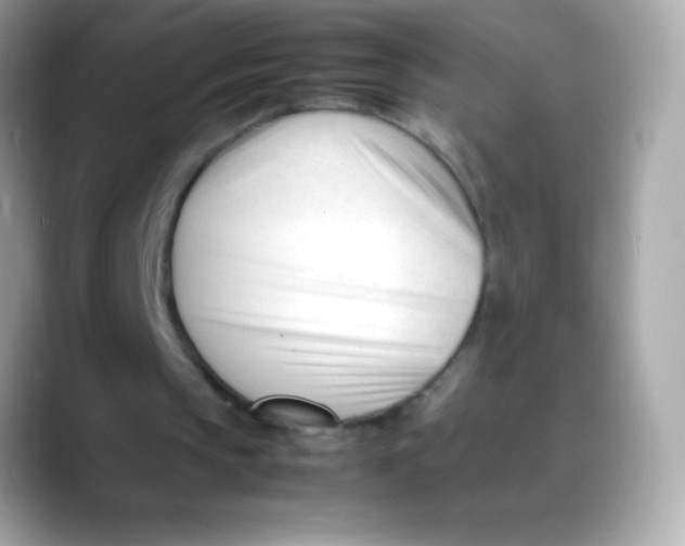X0000088050145200706011348
