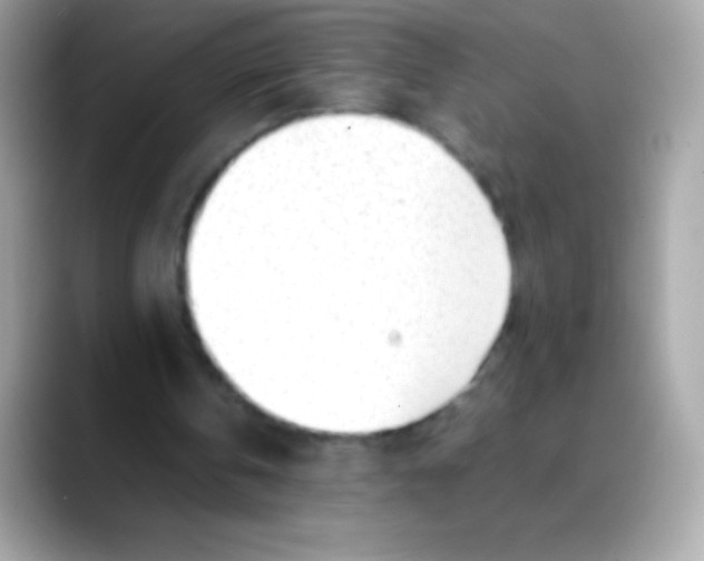 X0000088050146200706011348