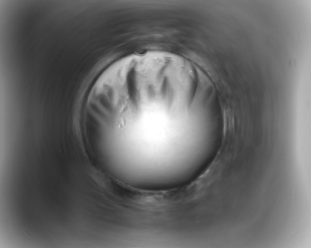 X0000088050147200706011348