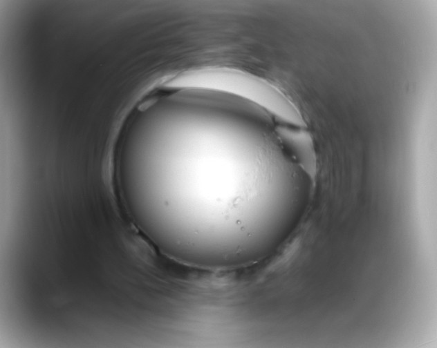 X0000088050148200706011348