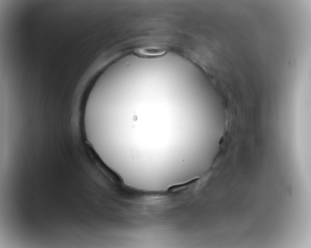 X0000088050150200706011348