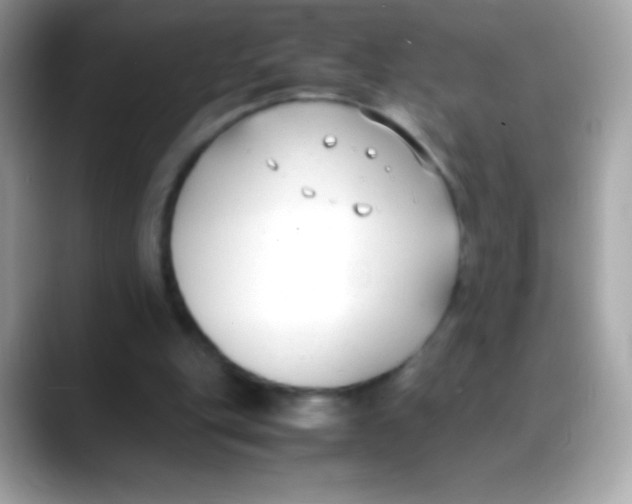 X0000088050151200706011348