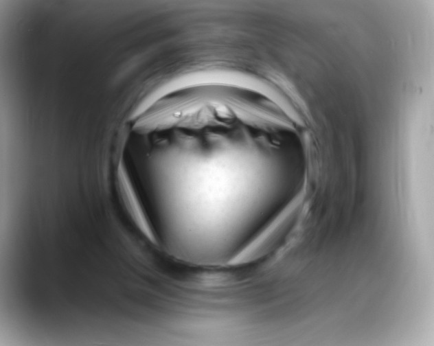 X0000088050154200706011348