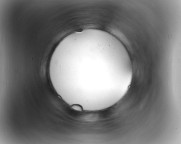 X0000088050155200706011348