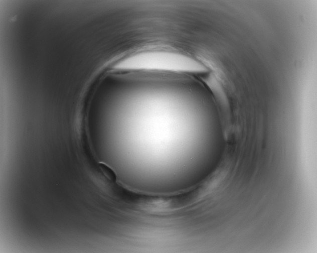 X0000088050156200706011348