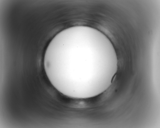 X0000088050159200706011348