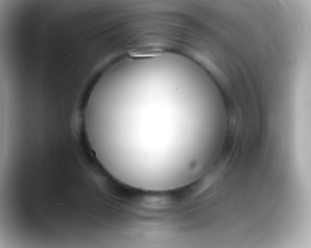 X0000088050160200706011348