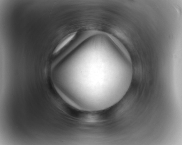 X0000088050165200706011348