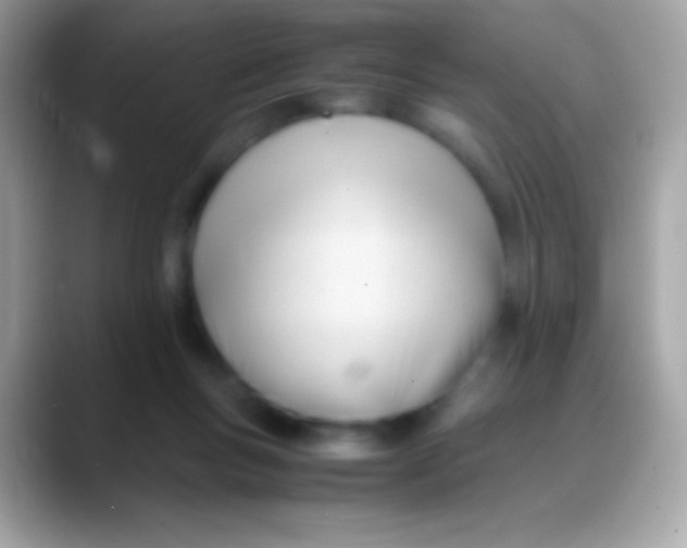 X0000088050167200706011348