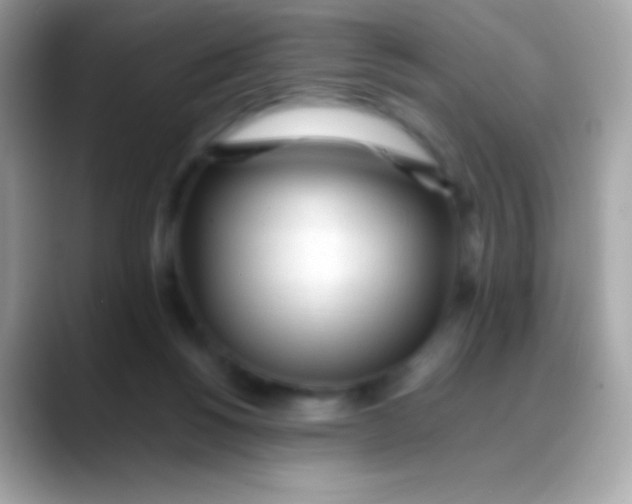 X0000088050168200706011349
