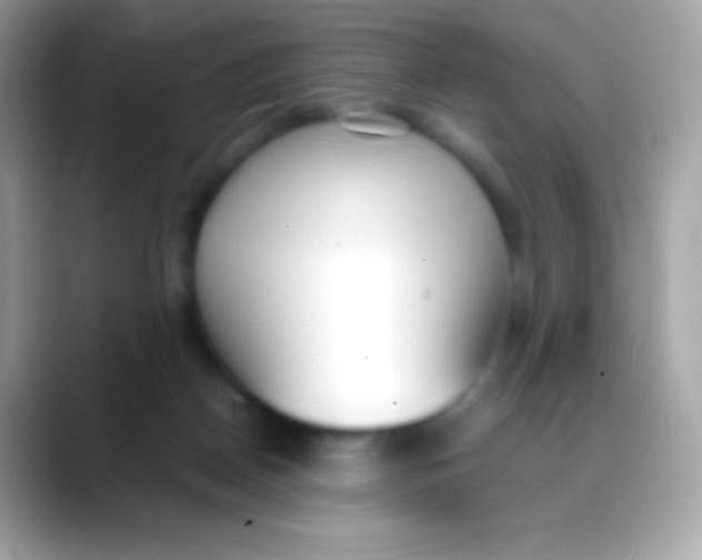 X0000088050170200706011349