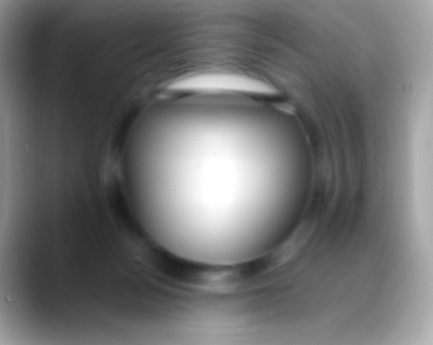 X0000088050172200706011349