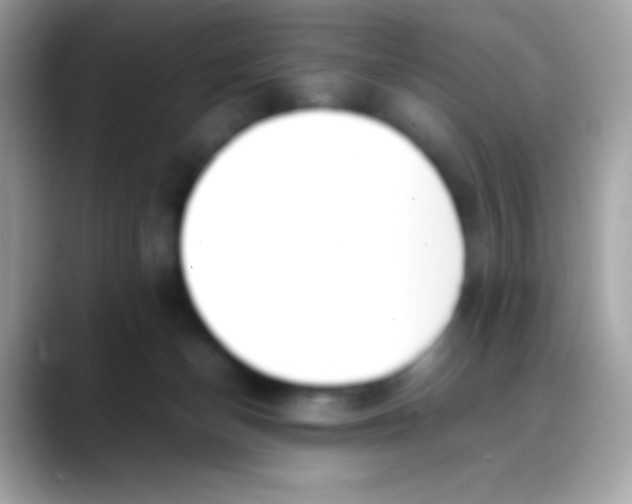 X0000088050174200706011349