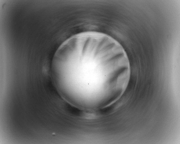 X0000088050181200706011349
